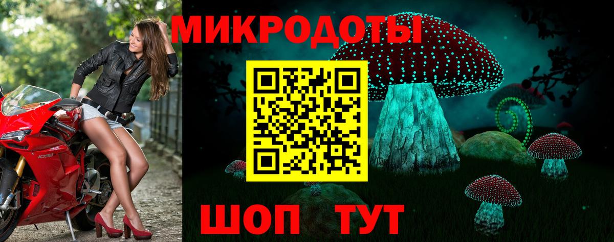 Псилоцибиновые грибы ЛСД  купить наркотики сайты  Ленинск-Кузнецкий  Псилоцибиновые грибы GOLDEN TEACHER  Вход с VPN 